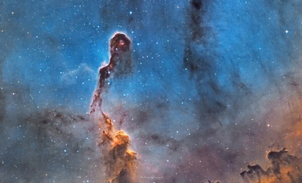 ic1396 trompe d éléphant